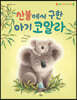 산불에서 구한 아기 코알라