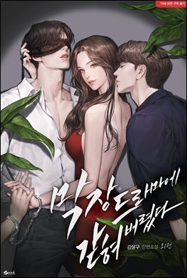 막장드라마에 갇혀버렸다 (외전)