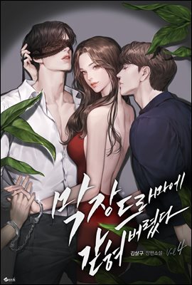 막장드라마에 갇혀버렸다 4 (완결)