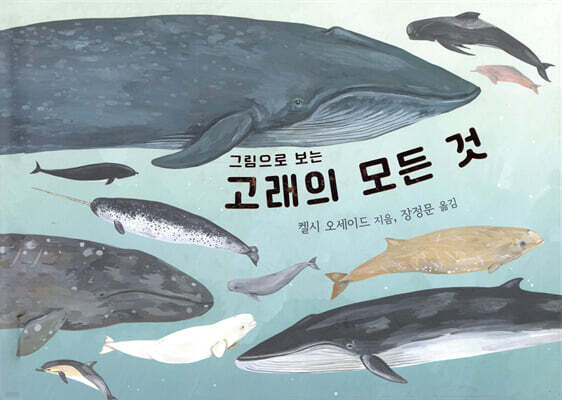 그림으로 보는 고래의 모든 것