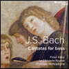 Philippe Herreweghe 바흐: 베이스를 위한 칸타타 (Bach: Cantatas For Bass)