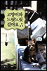 고양이와 느릿느릿 걸어요
