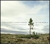 The Oldest Living Things in the World