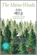 소로의 메인 숲
