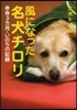 風になった名犬チロリ