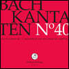 Rudolf Lutz 바흐: 칸타타 40집 BWV 146 & BWV 188 (Bach: Kantaten No.40)