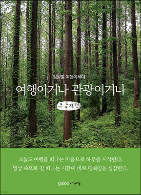 여행이거나 관광이거나 (큰글자책)