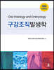 구강조직발생학