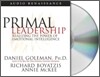 Primal Leadership