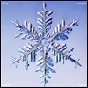 Chris Garneau - Winter Games