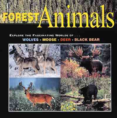 Forest Animals