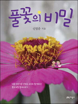 풀꽃의 비밀