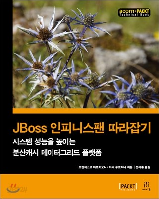 JBoss 인피니스팬 따라잡기