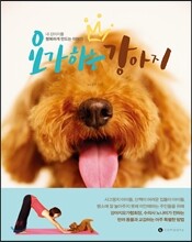 요가하는 강아지