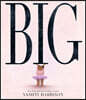 Big : 2024 칼데콧 수상작