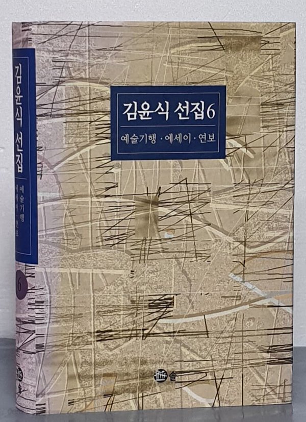 김윤식 선집 6 (예술기행.에세이.연보)