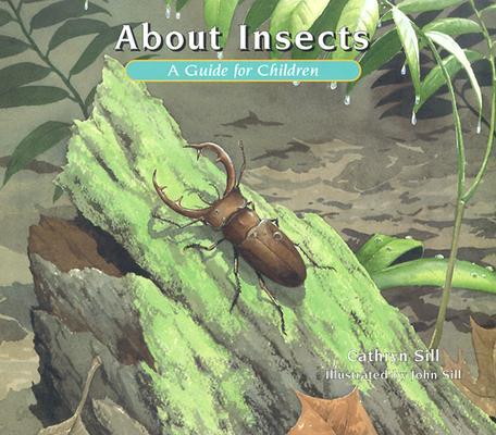 About Insects