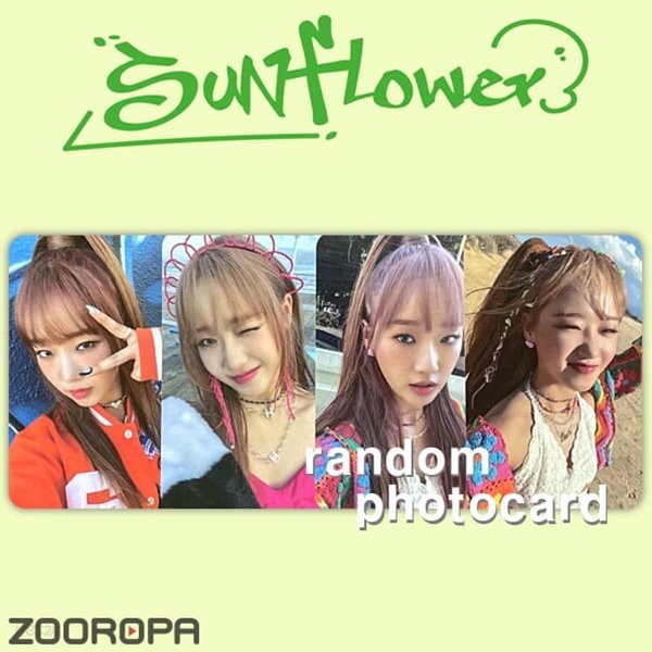 [새상품/A 포토카드] 최유정 Sunflower (KTOWN4U)