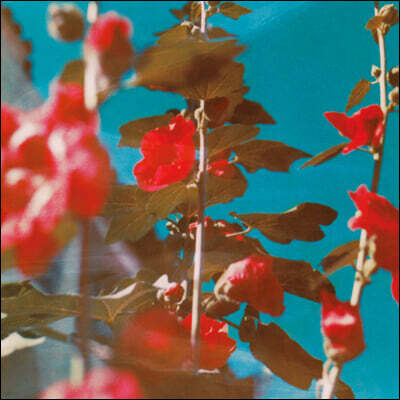 Chad Lawson 채드 로슨 피아노 작품집 (Breathe)