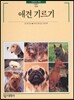 애견 기르기