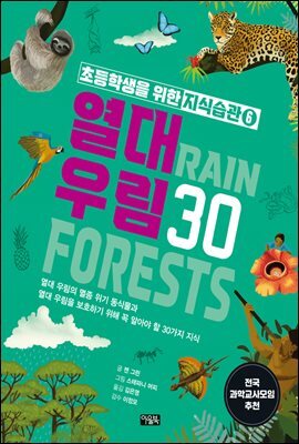 열대 우림 30