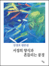 서정의 양식과 흔들리는 풍경