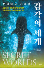 은밀하고 거대한 감각의 세계