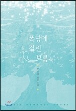 폭낭에 걸린 보름