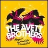 Avett Brothers (에이빗 브라더스) - Magpie And The Dandelion [2 LP]
