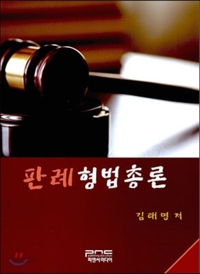 판례형법총론