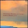Anders Miolin 13현 기타의 크리스마스의 꿈 (Christmas Dreams on 13 strings)