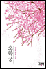 소화궁