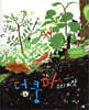 덩쿵따 소리 씨앗