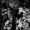 Den Sorte Dod - Den Sorte Dod (LP)