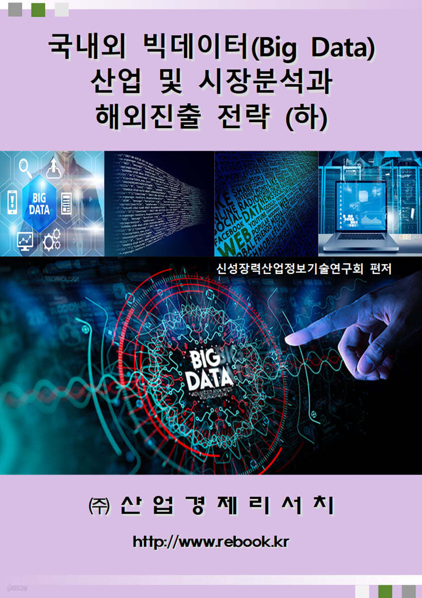 국내외 빅데이터(Big Data) 산업 및 시장분석과 해외진출 전략(하)