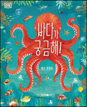 DK 바다가 궁금해!