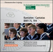 Thomanerchor Leipzig 바흐: 칸타타 75번, 194번 - 성 토마스 합창단 (Bach: Cantatas BWV75,194)