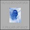 Noah Gundersen - Pillar Of Salt (Ltd)(Colored 2LP)
