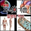 지식의 기쁨: 질병의 역사