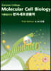 분자세포생물학