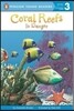 Coral Reefs In Danger