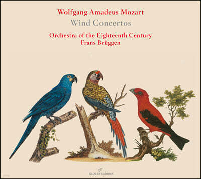 Orchestra of the 18th Century 모차르트: 클라리넷 협주곡 / 오보에 협주곡 / 호른 협주곡 (Mozart: Wind Concertos)
