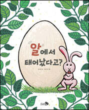 알에서 태어났다고?