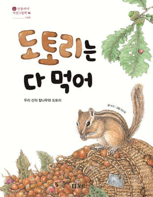 도토리는 다 먹어