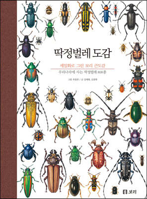 딱정벌레 도감