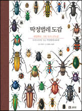 딱정벌레 도감