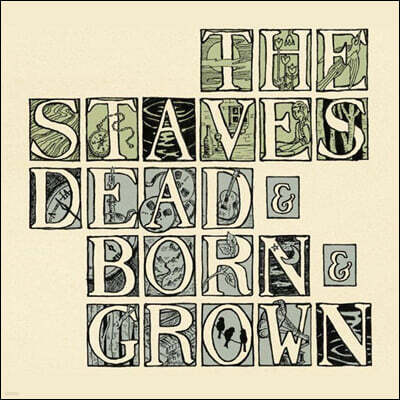 The Staves (더 스테이브스) - 1집 Dead & Born & Grown (10th Anniversary) [리사이클 컬러 LP]
