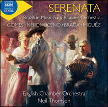 Neil Thomson 브라질 작곡가들의 실내 오케스트라를 위한 음악 작품집 (Serenata - Brazilian Music For Chamber Orchestra)