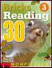 Bricks Reading 30 Nonfiction 3