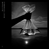 Nils Frahm - Music For Animals (Ltd)(4LP Set)